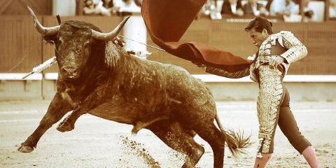 Josep Gumbau banner