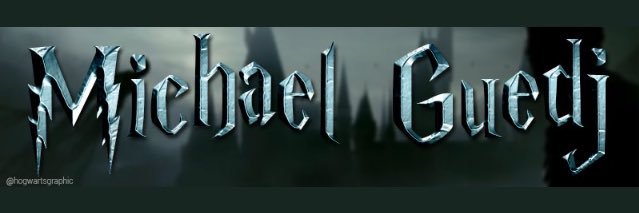 Michaël Guedj banner