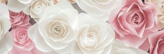 Ftrianinn's profile banner image