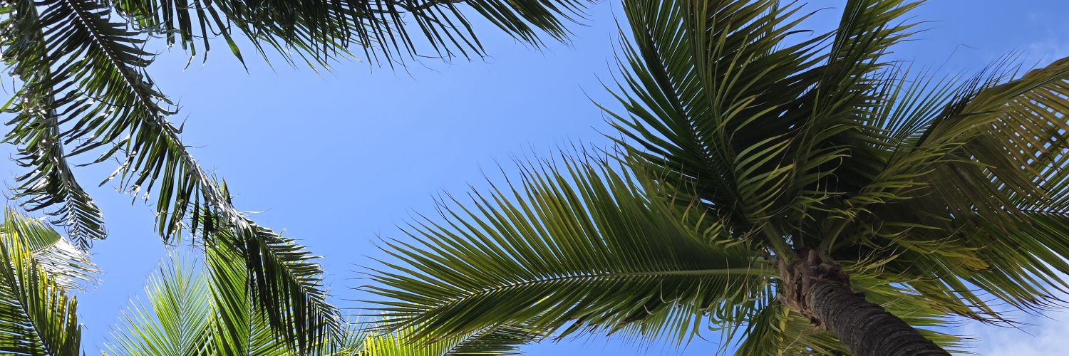 dkash33's profile banner image