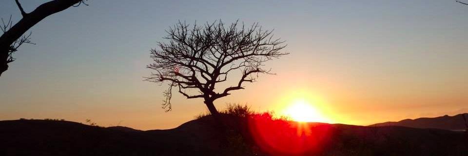 emina_ida's profile banner image