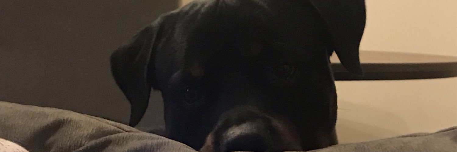 edaleyyna's profile banner image