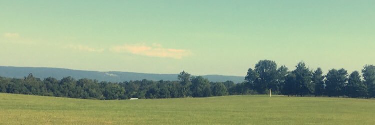 mollymack70's profile banner image
