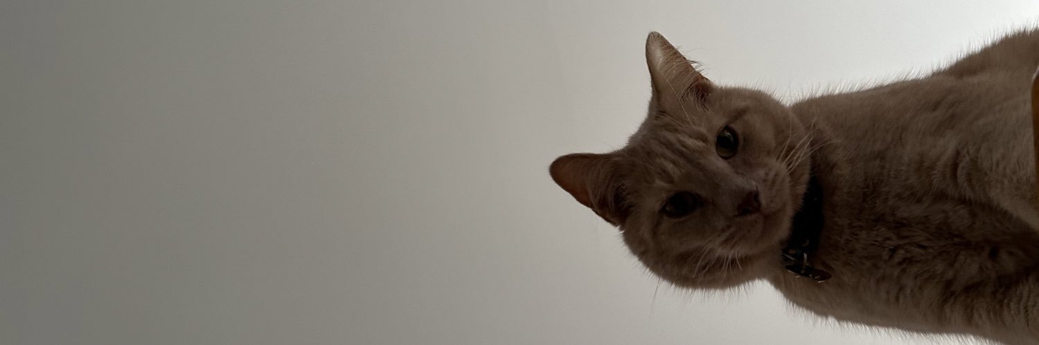 222mads's profile banner image