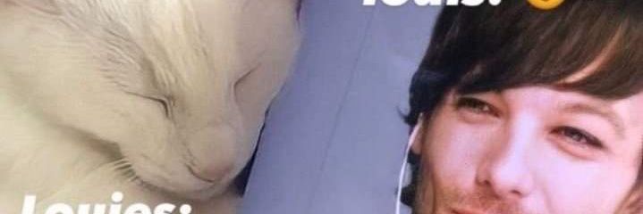 _Beerii's profile banner image