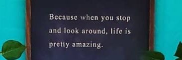 LifeOfLeiva's profile banner image
