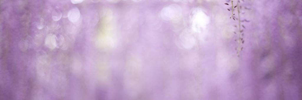 Juhl36's profile banner image