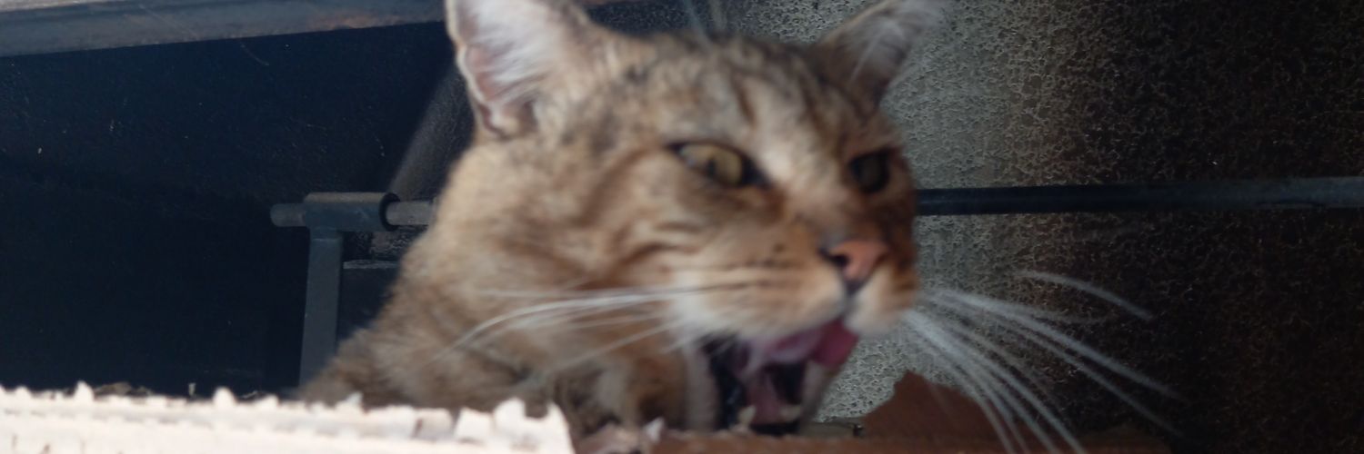 Keilaaa15's profile banner image
