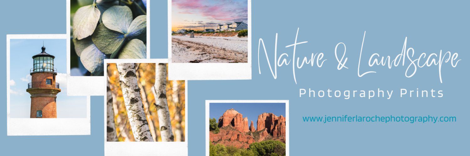 JenLaRochePhoto's profile banner image