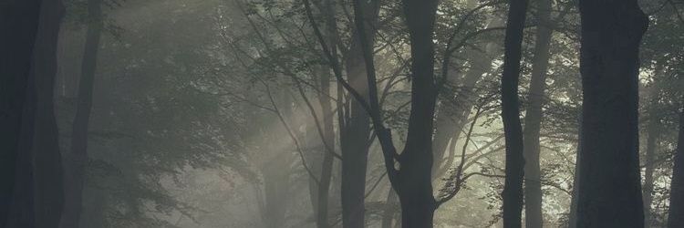 . banner