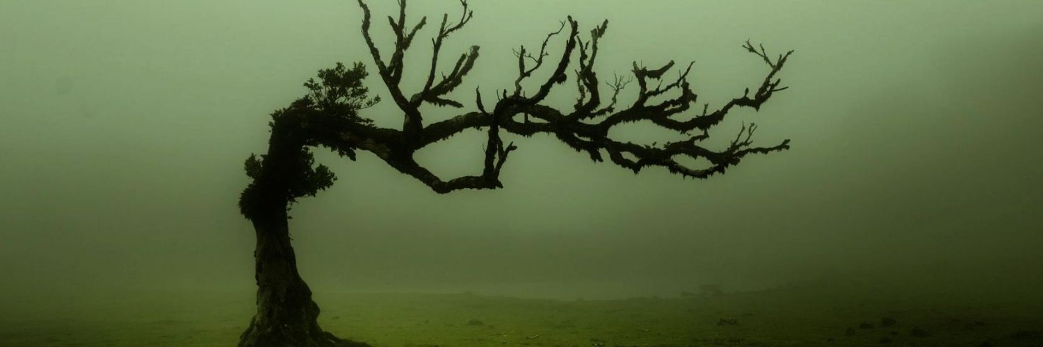 xrimes's profile banner image