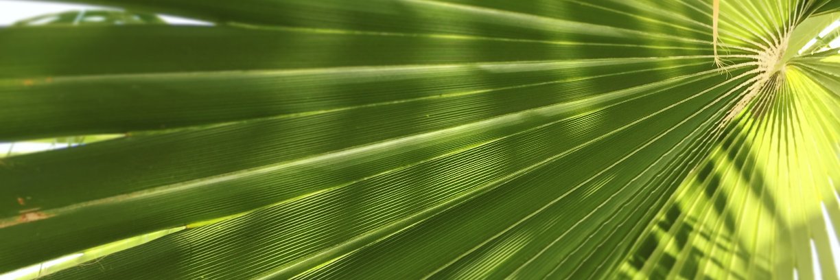vickeyweiss's profile banner image