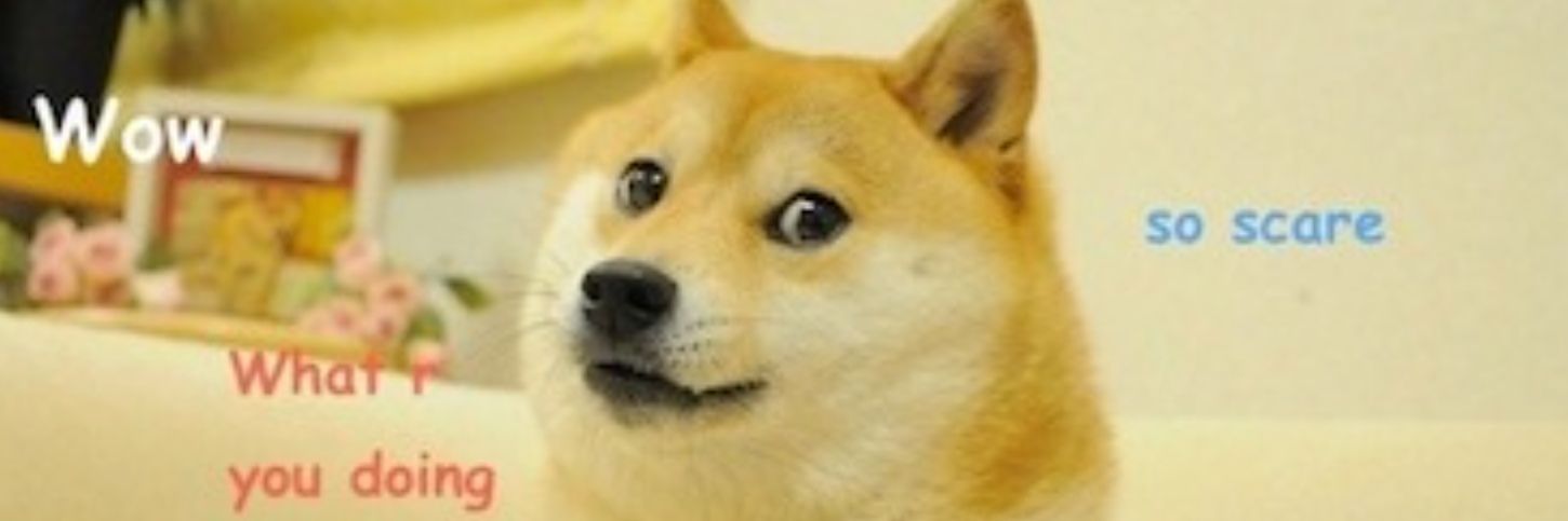 🇺🇲 nelsonthis banner