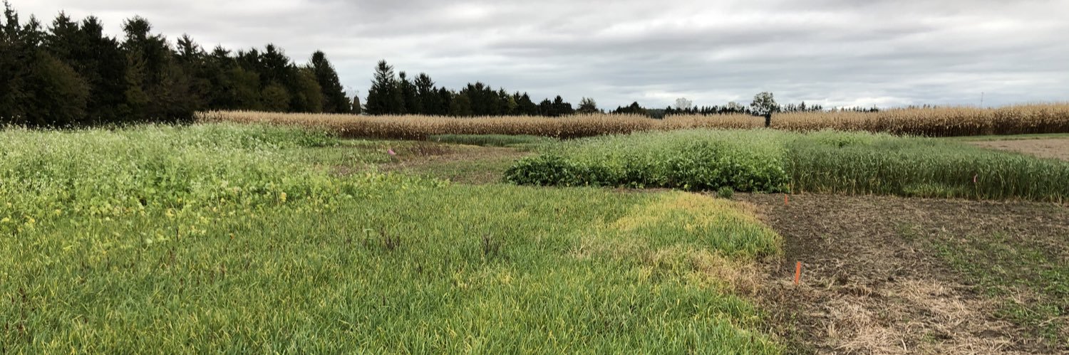 Dr. Laura Van Eerd banner