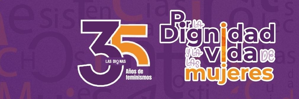 LasDignasFeministas banner