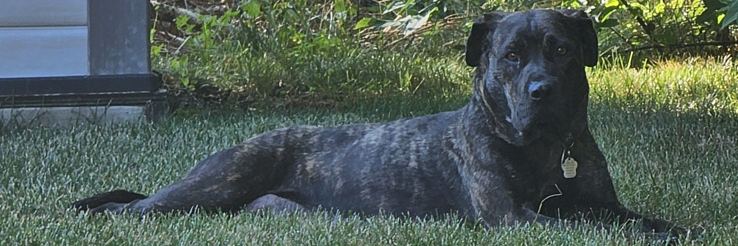 Bryon Sparrowhawk🇨🇦 banner