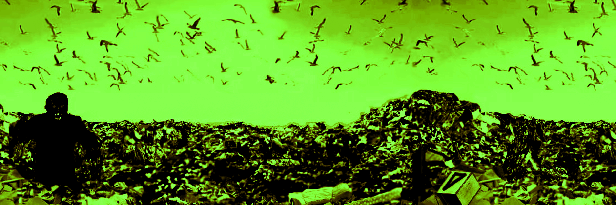 SenorEditorTM's profile banner image