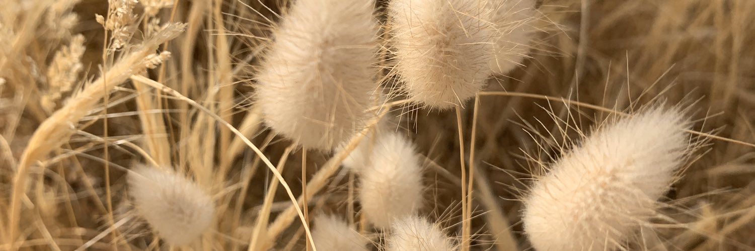 Jessika Kenney banner