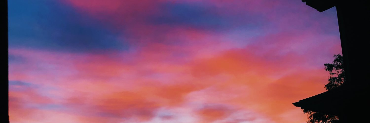 Lexi_stethem's profile banner image