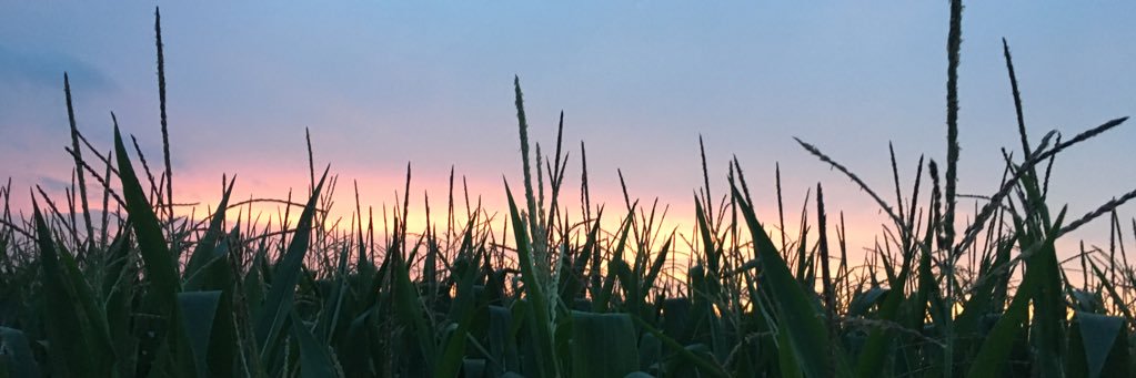 BreanneKell's profile banner image