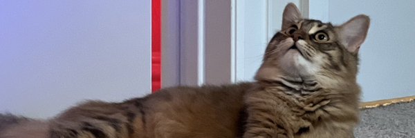 Pezzy Profile Banner