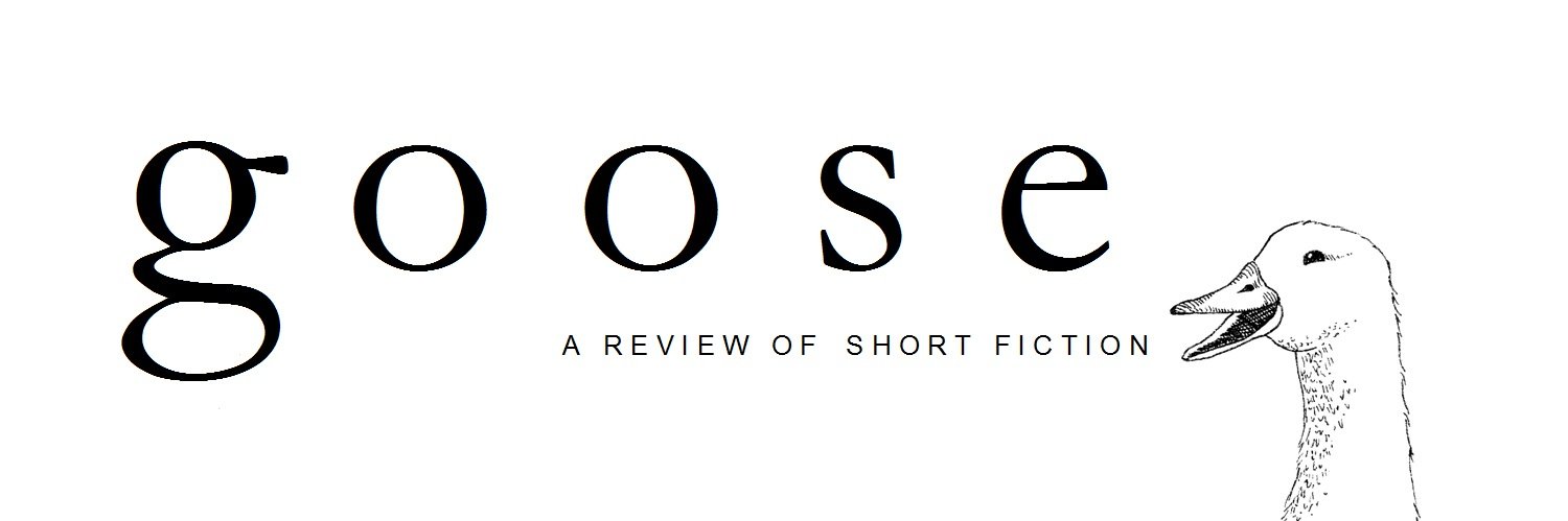 GooseFiction's profile banner image