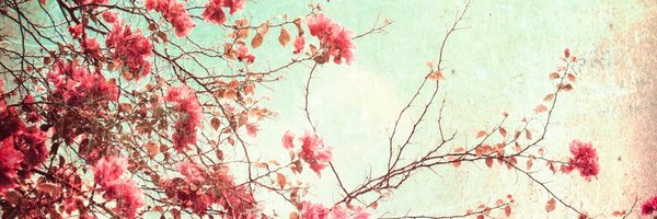 olexua's profile banner image