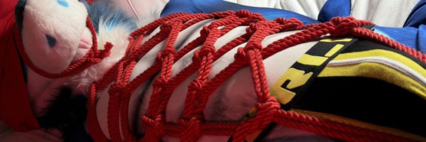 FlandersSD Profile Banner