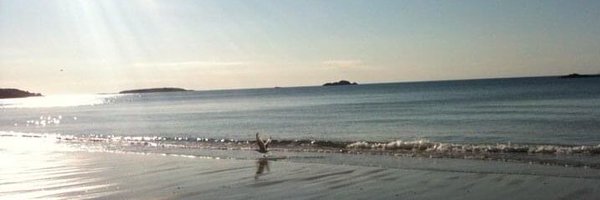 feli_casey Profile Banner