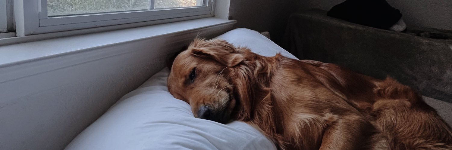 JillRovetti's profile banner image
