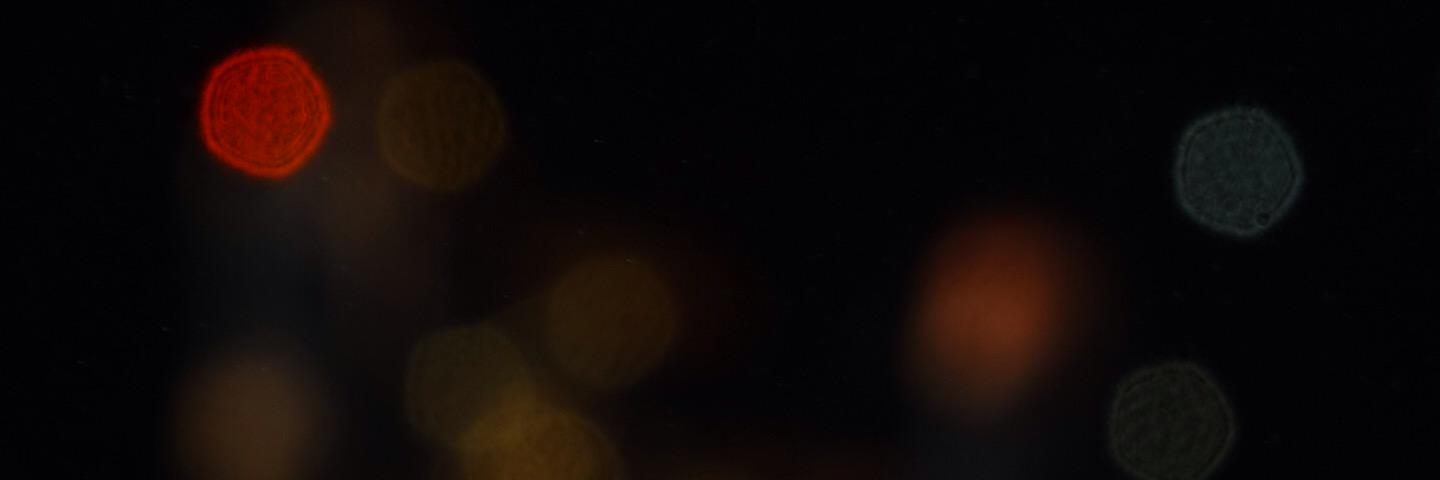 EvaEeftens's profile banner image