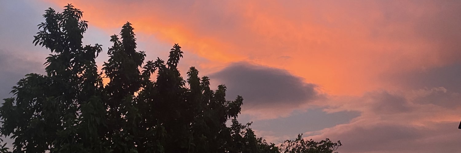 𝑨𝒍𝒊𝒅𝒂 ☾ banner