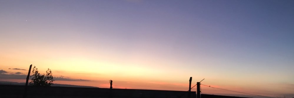 bellesn11's profile banner image
