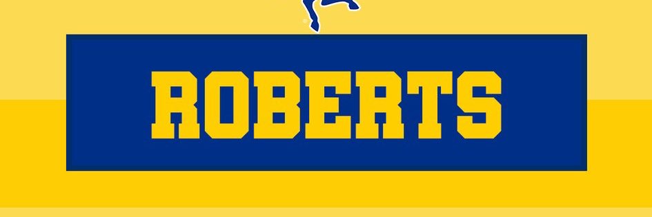 Ivory_roberts_'s profile banner image