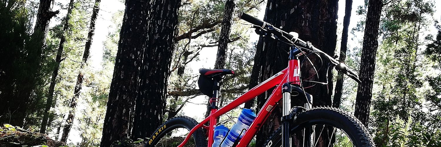RaulRodriguezLu's profile banner image