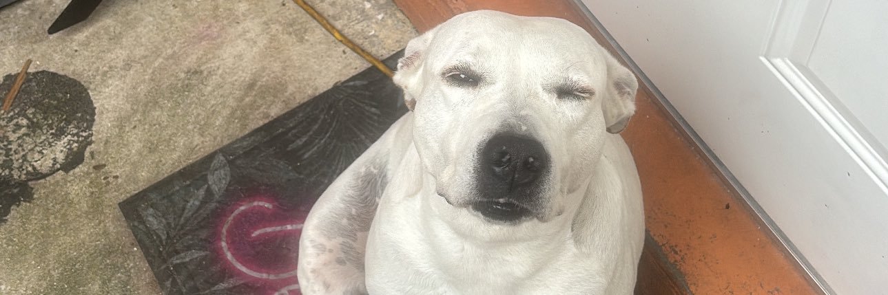 _brando___'s profile banner image