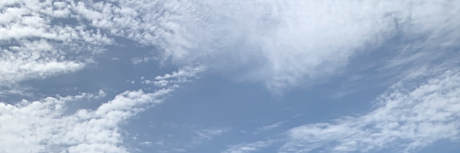 Carlos Colosio banner