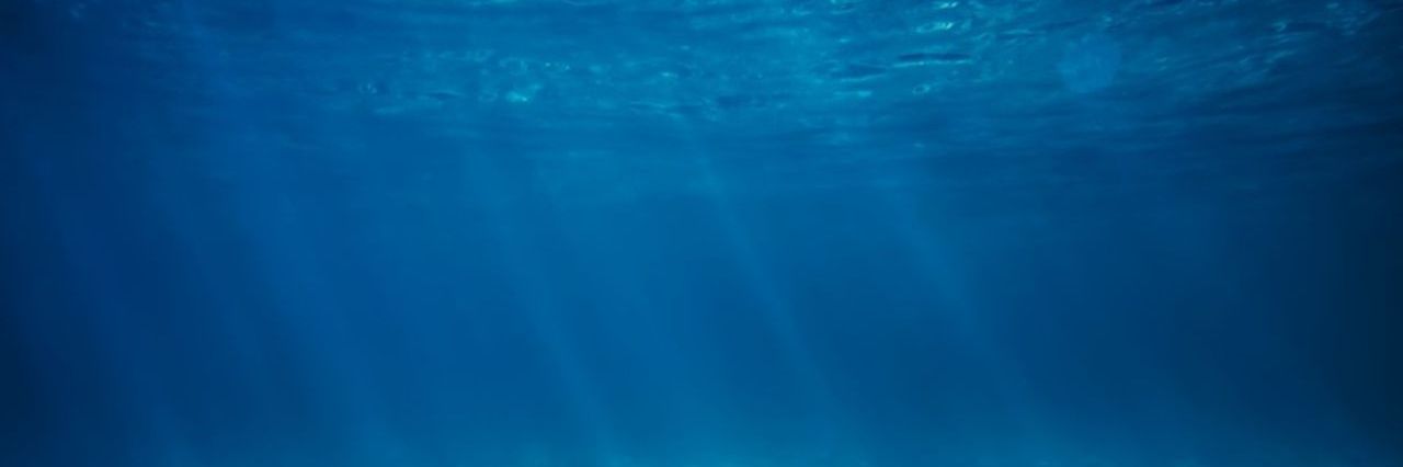 WEB banner