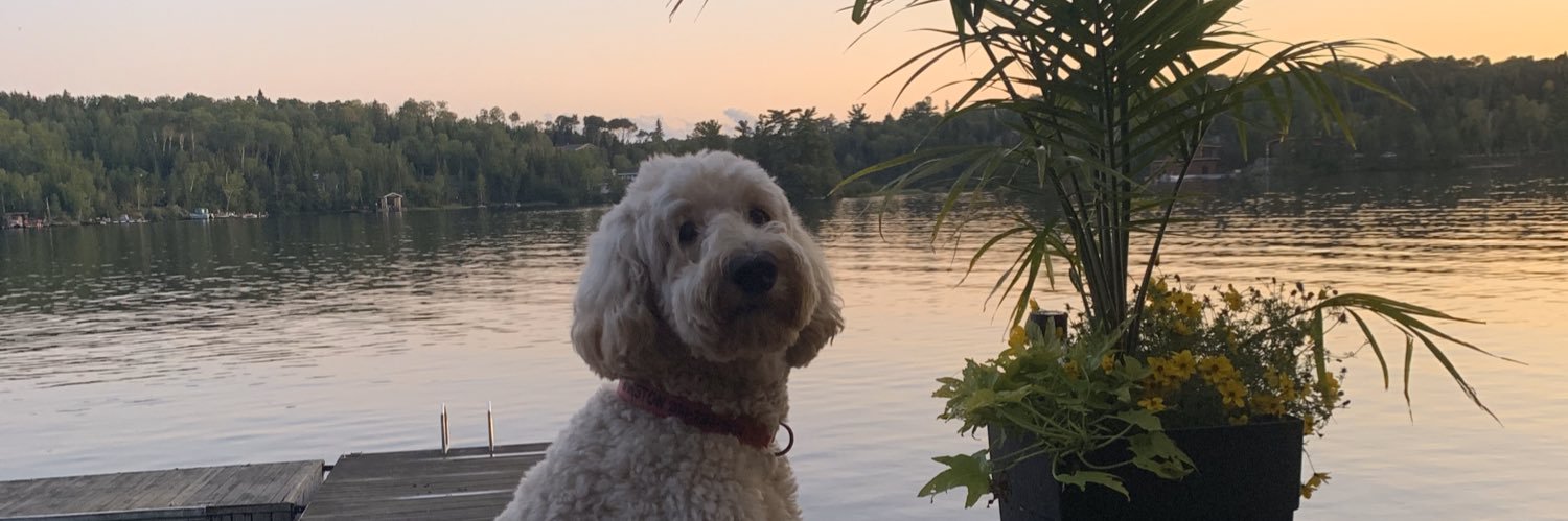 maxmclean_'s profile banner image