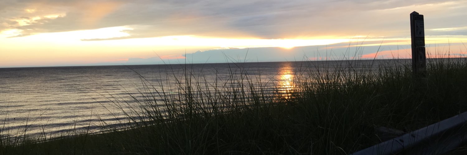 madi1604's profile banner image