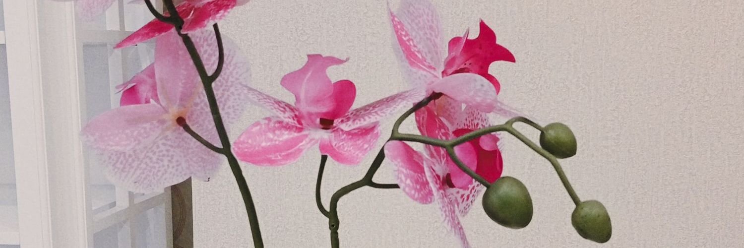 culllaaah's profile banner image