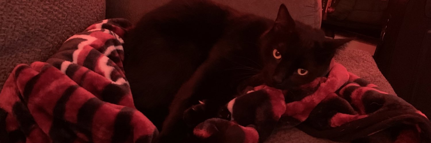 stephanut's profile banner image