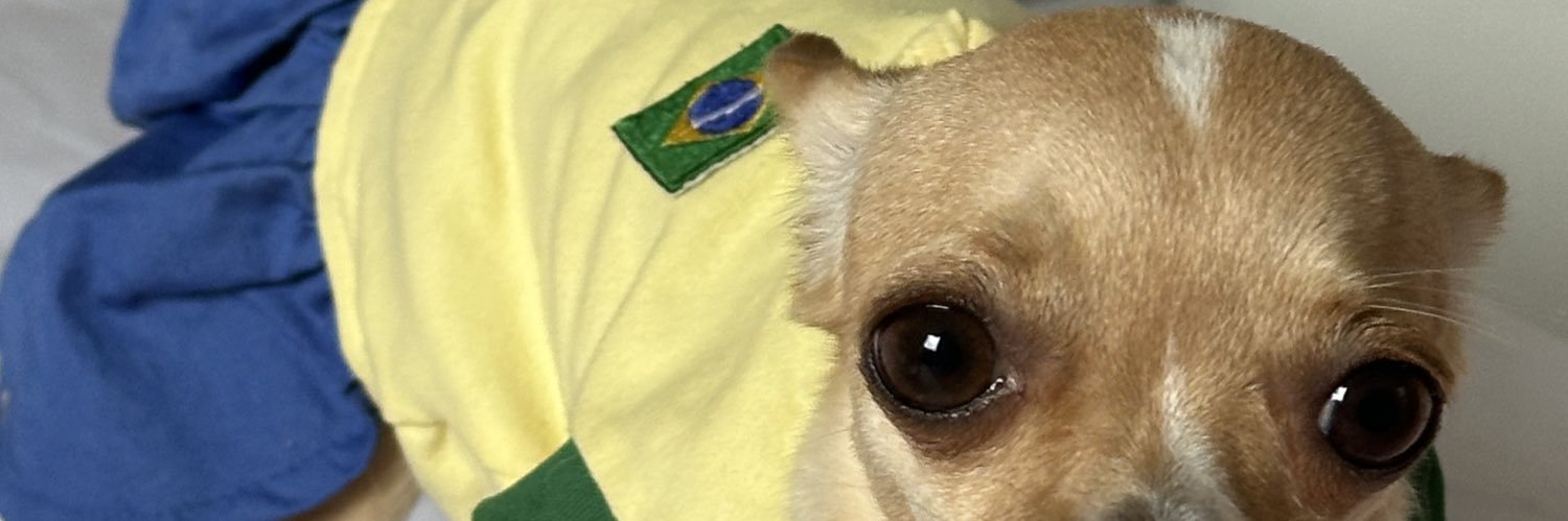 emociolala's profile banner image