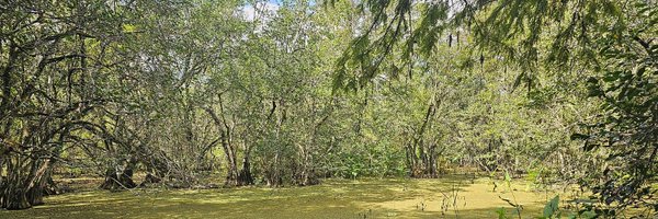 OElhelo Profile Banner