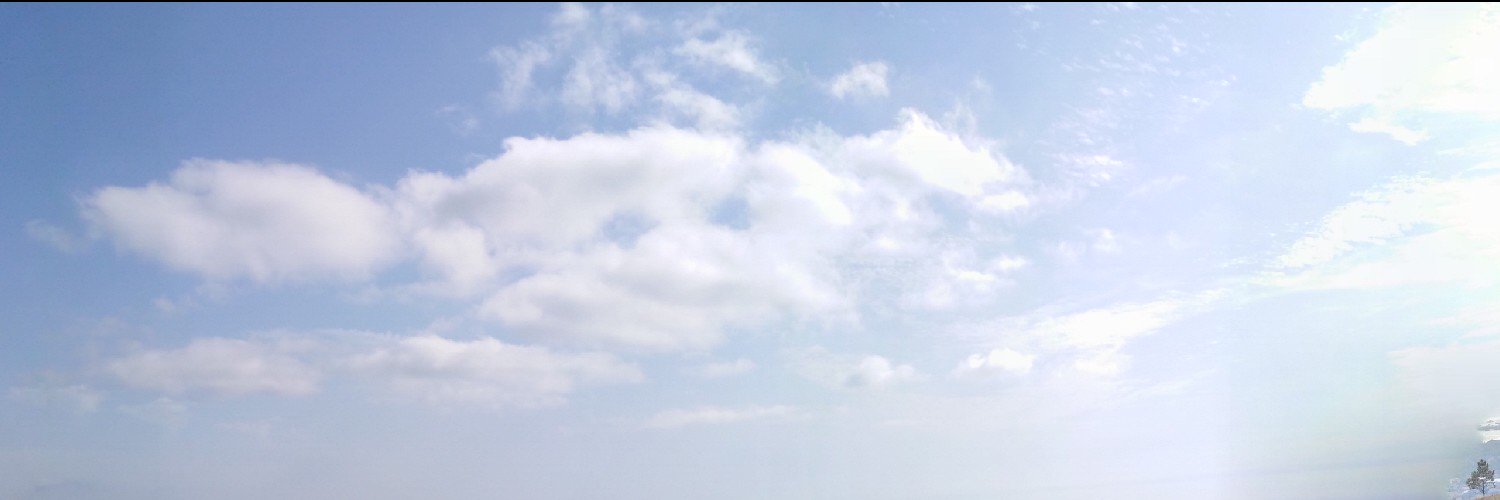 OrejasGrises's profile banner image
