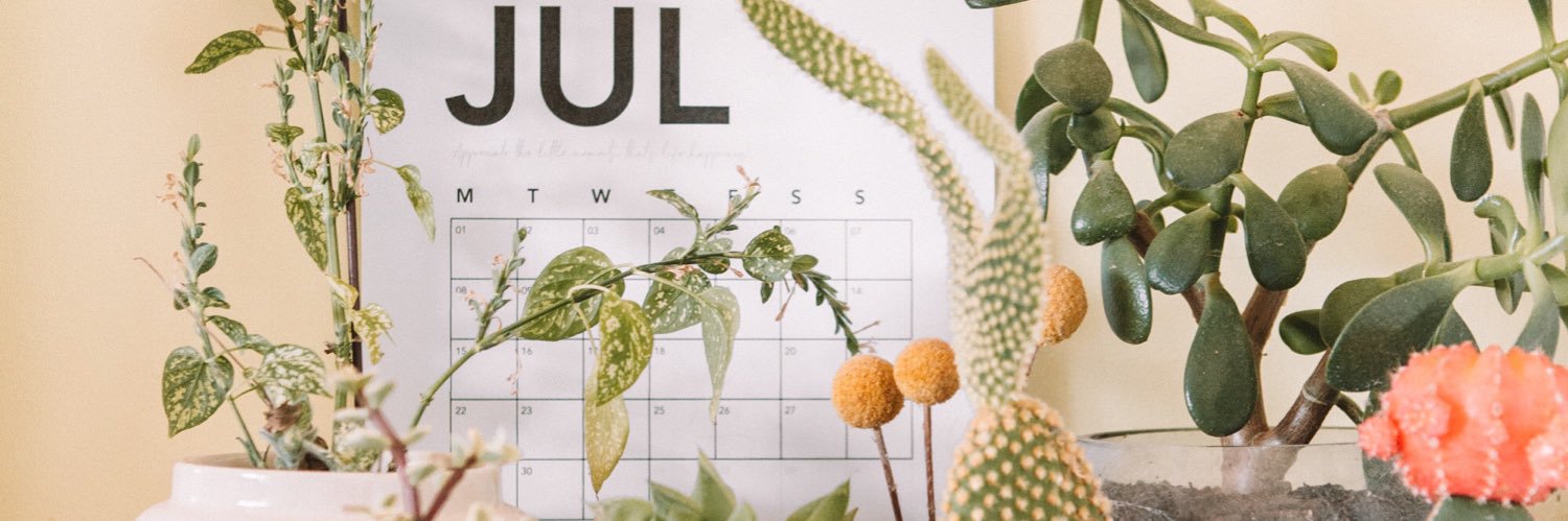 TranHuy47's profile banner image