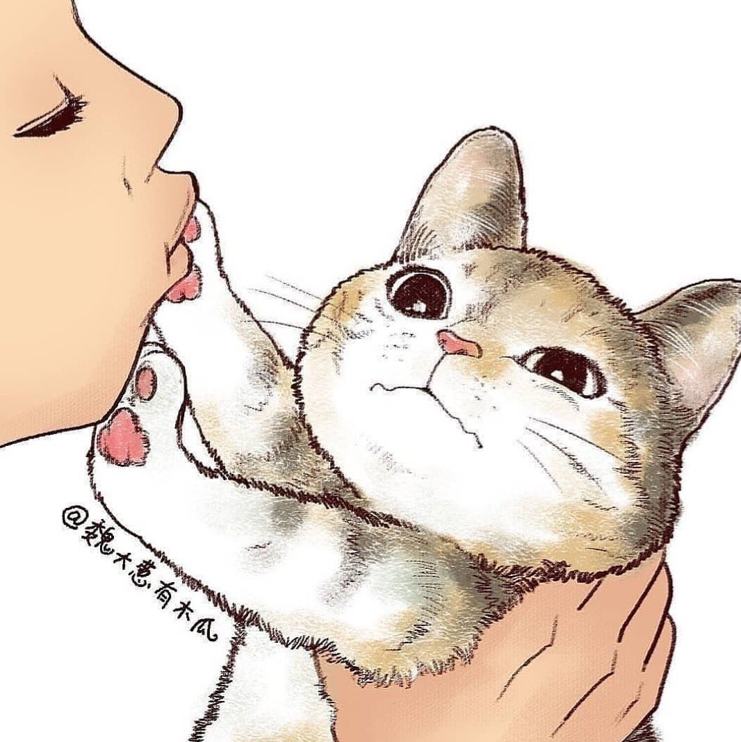 AwalCat's profile banner image