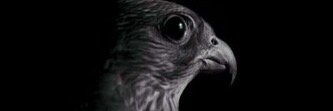 kopria_511's profile banner image