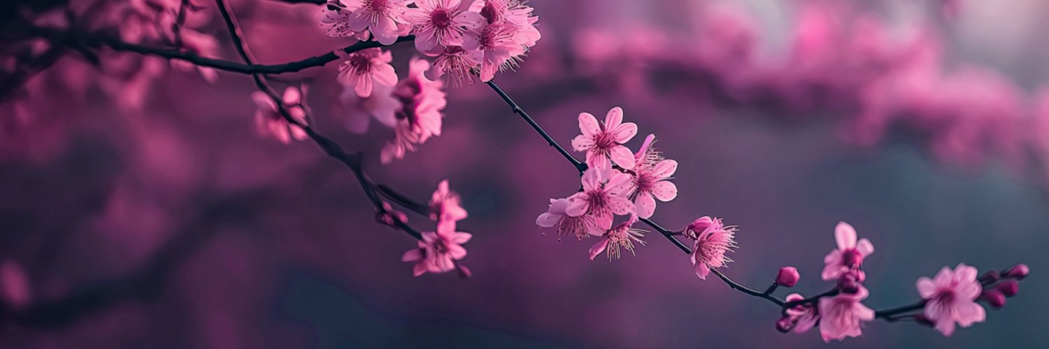 eacyy_'s profile banner image