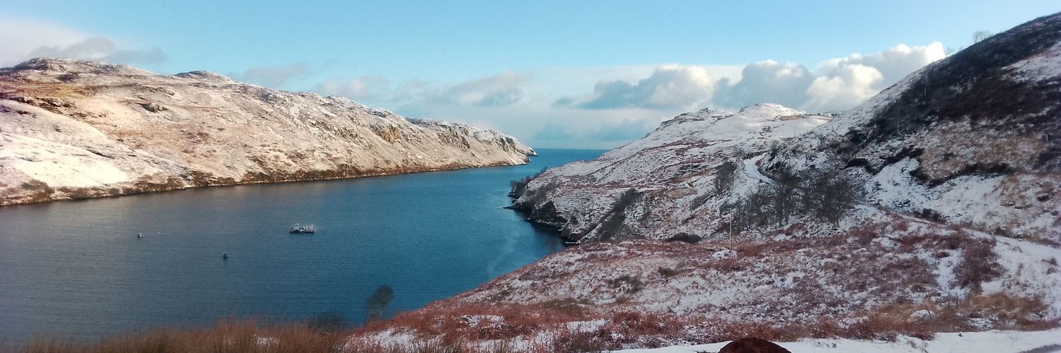 James Aithie 🏴󠁧󠁢󠁳󠁣󠁴󠁿 🇵🇸 banner